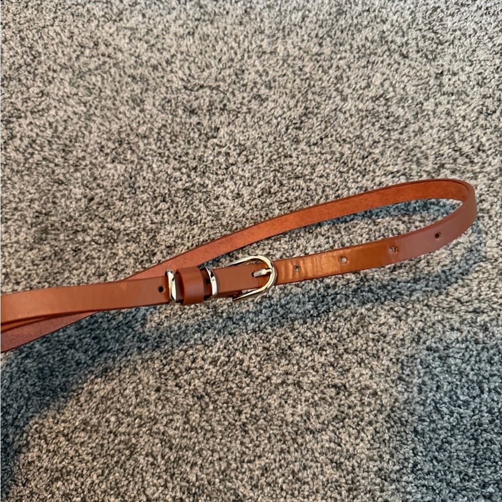 Elegant Brown Belt
